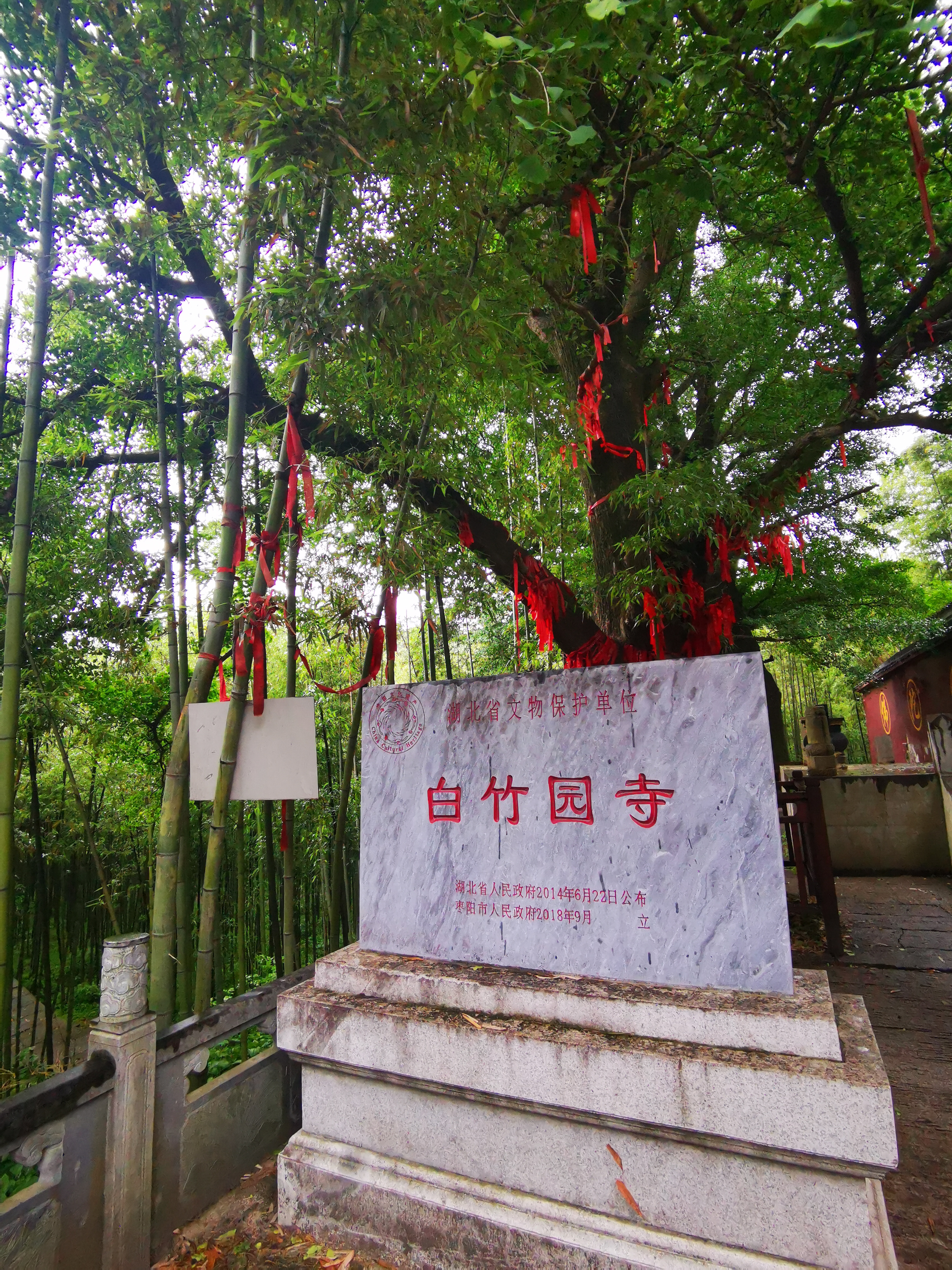 中文字幕痴汉一区二区